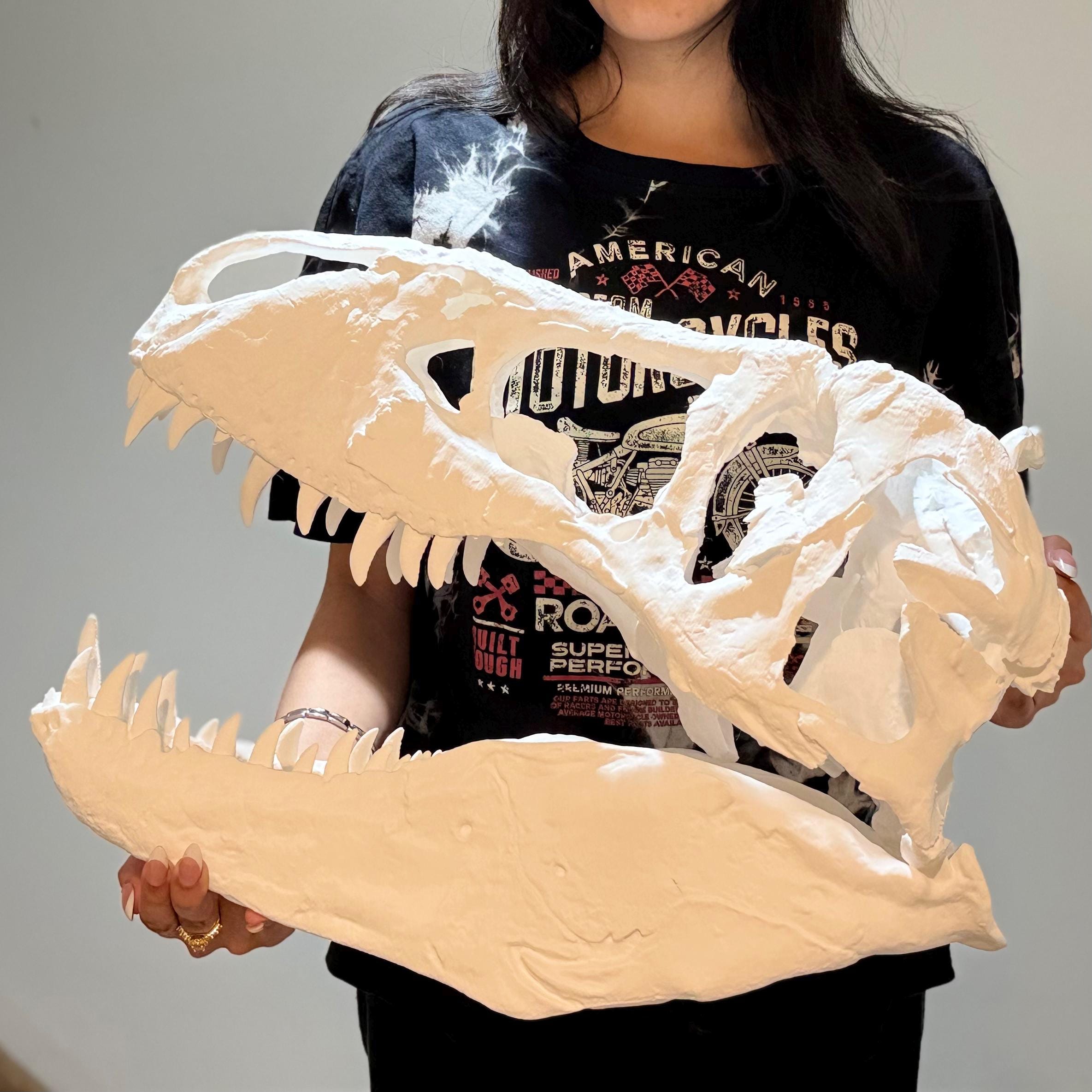 Big 1:3 T-Rex Skull Replica